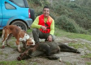 En el lote de Cetín. En el cuartel parragués de Cetín, el cazador Ismael González Pérez, miembro de la cuadrilla gestionada por Bandi, conseguía tumbar un cerdo salvaje de 75 kilos. :: L. G. Q.