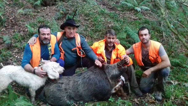 Navajero de 133 kilos abatido por Olegario Niño, en Piloña. ::. Asdeca