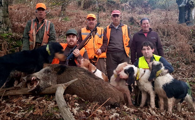 Cazadores, perros y escopetas, con el navajero de 90 kilos abatido por Ricardo Díaz Fernández en el lote cangués de Següencu. :: E. C.