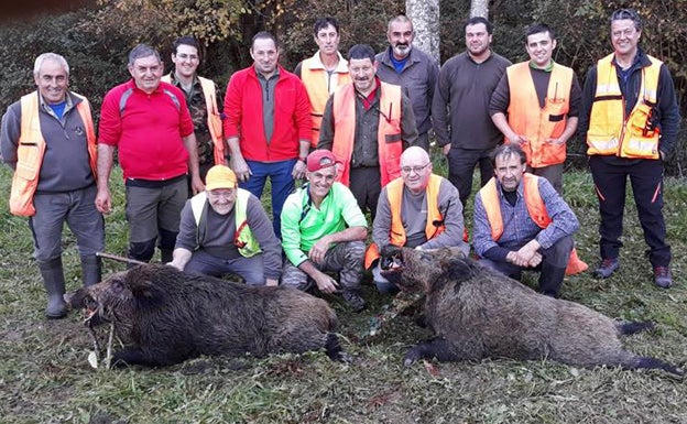 Dos navajeros de 120 y 90 kilos abatidos por cazadores piloñeses en Cereceda. :: E. C.