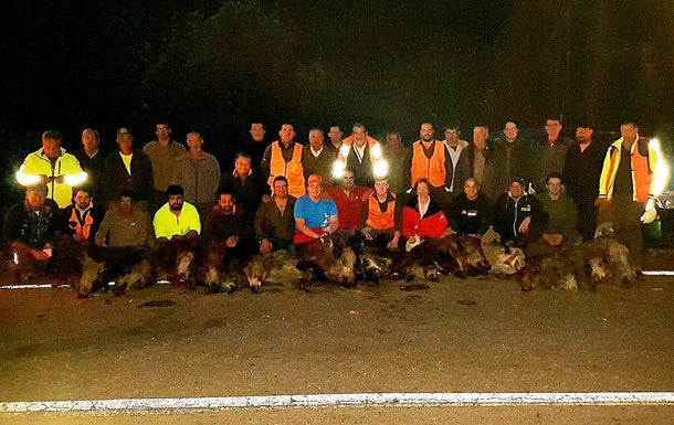 La palomilla de Onís y Salas, gestionada por Sergio Simón, tumbaba 17 verracos en Oseja. :: E. C.