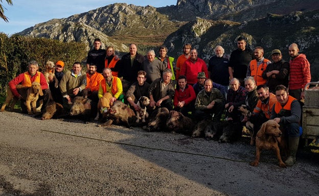 Ocho jabalíes se llevaba del prolífico lote de Caravia-Alea, en la Reserva del Sueve, una cuadrilla llegada desde tierras de Langreo. :: R. G. L.