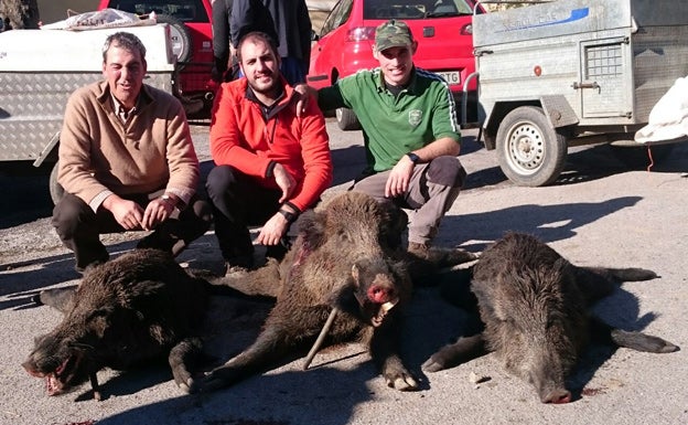 Javi, Pablo y Marcos, con suidos de 60, 90 y 40 kilos. :: R. Ruea