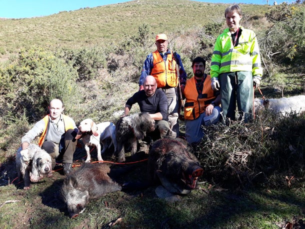 Los de Chuso, con dos suidos de 120 y 45 kilos en El Estelleru. :: asdeca