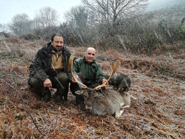 Un extraordinario gamo abatido en el lote piloñés de Cereceda. :: Asdeca