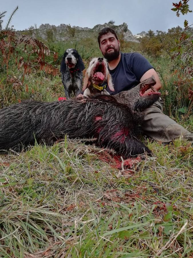 José Luis González, con un buen verraco, en el lote cangués de Zardón. :: E. C.