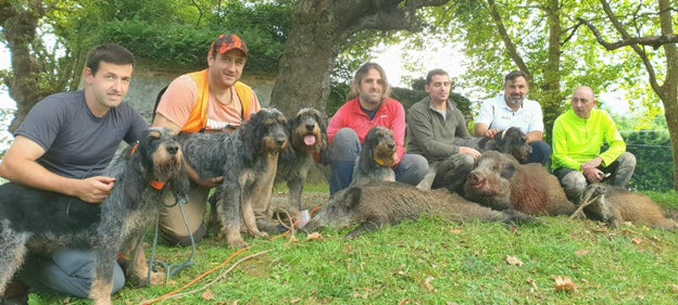 Monteros de la cuadrilla llanisca de Manuel García Granda, que se nutre de excelentes perros de la raza grifón azul de Gascuña. :: e. c.