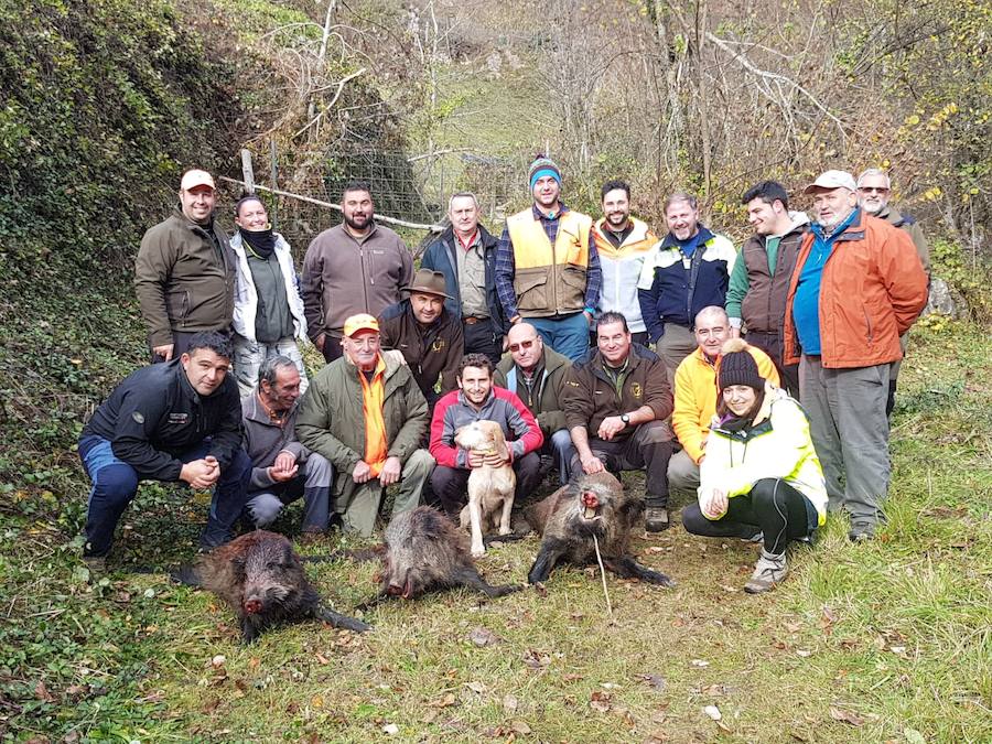 La cuadrilla de José Galindo, de Cabranes, con tres jabalíes abatidos en la falda del Pico Retriñón, en Felechosa (Aller). :: M. toyos