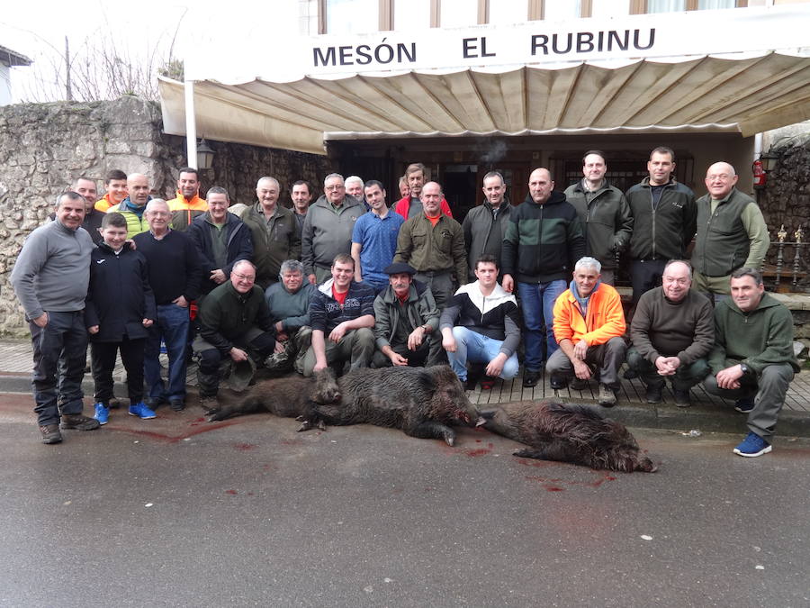 La peña Ceferino Gutiérrez tumbó tres verracos en Sierra Plana y concluyó su campaña como la más efectiva del coto de Llanes. :: G. F. B.