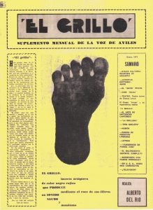 22-grillo-portada-foto-que-manda-sustituye-a-la-anterior