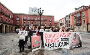 toros-kcy-624x385el-comercio